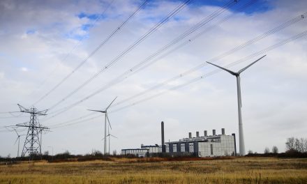 Pleidooi voor bovengrondse elektriciteitskabels