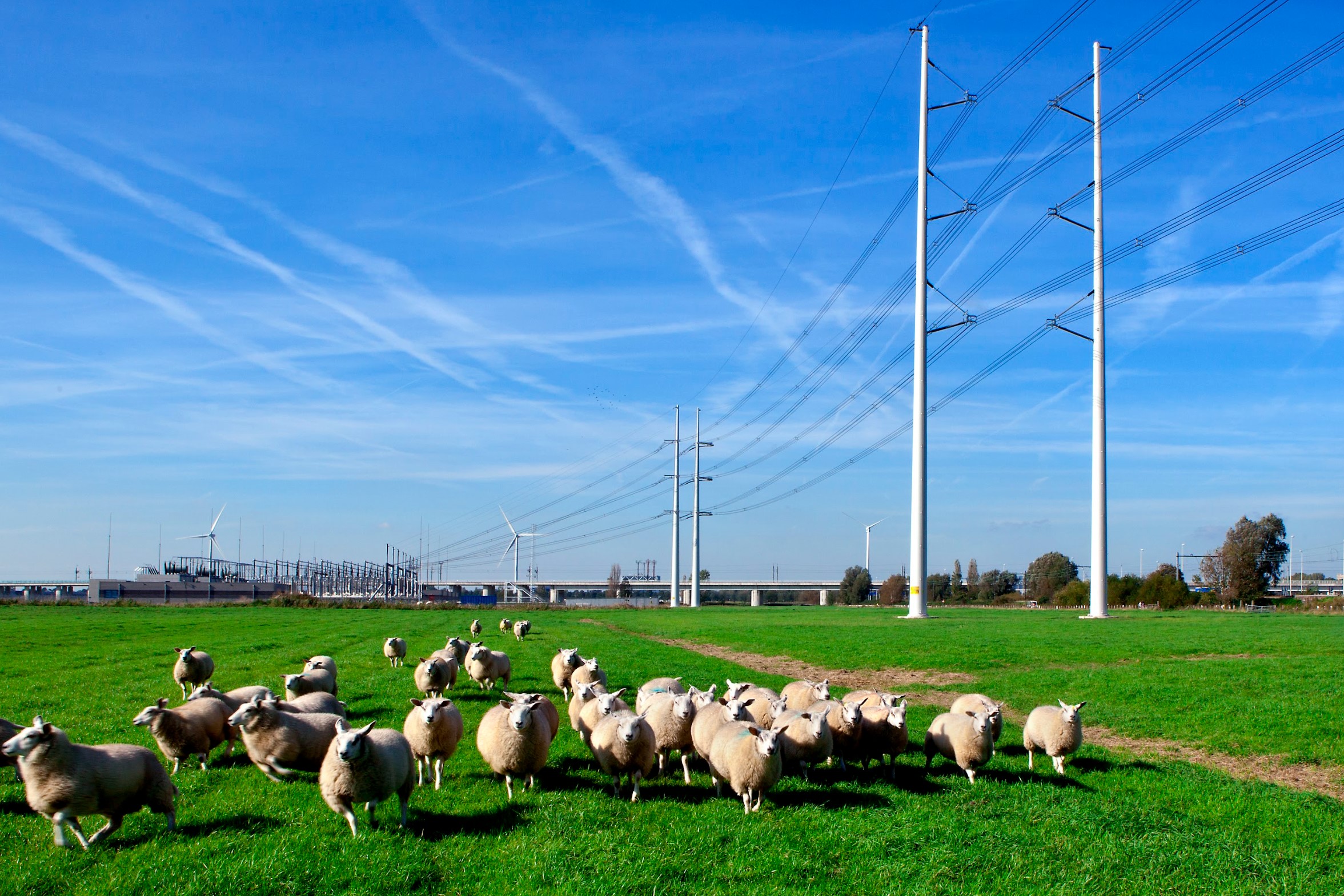 Het net zit verduurzaming in de weg